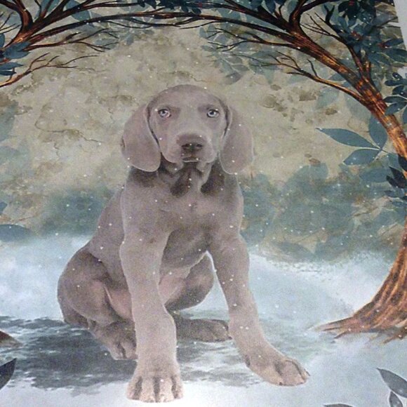 Weimaraner puppy,  thin metal sign, new - Picture 2 of 4